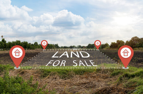 The surfing man will adventure your mind