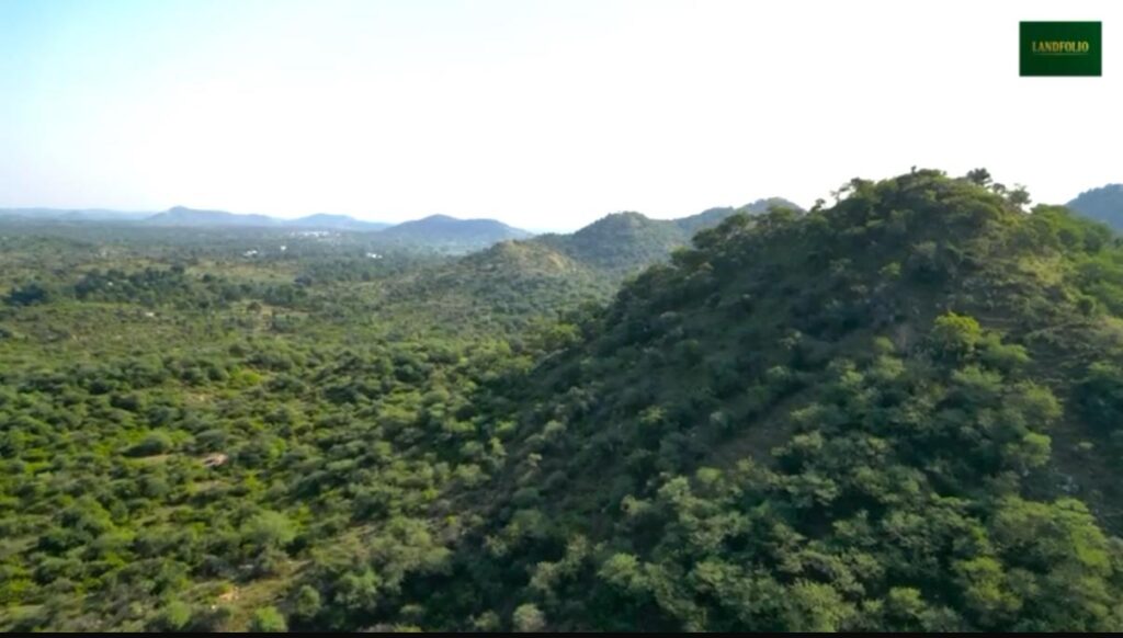 WhatsApp Image 2025-10-29 at 1.27.05 AM (1)