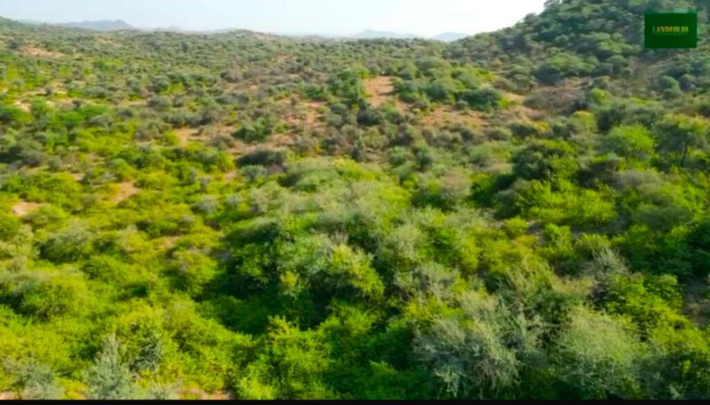 WhatsApp Image 2025-10-29 at 1.27.05 AM