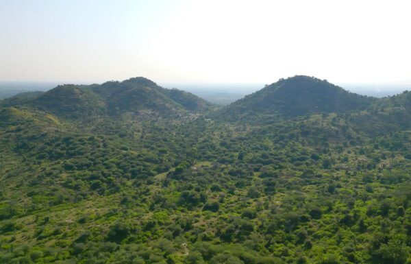 WhatsApp Image 2025-10-29 at 1.27.06 AM (1)