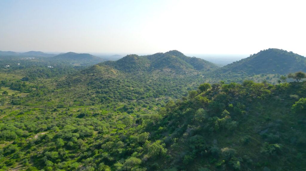 WhatsApp Image 2025-10-29 at 1.27.06 AM