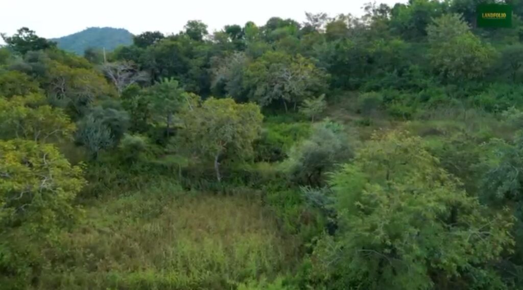 WhatsApp Image 2025-10-29 at 1.29.55 AM (1)