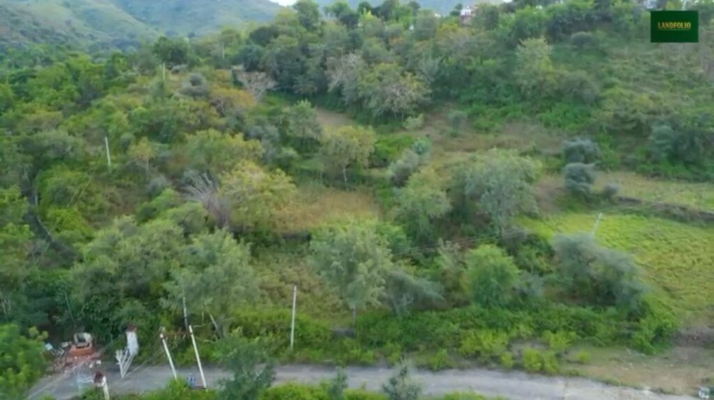 WhatsApp Image 2025-10-29 at 1.29.55 AM