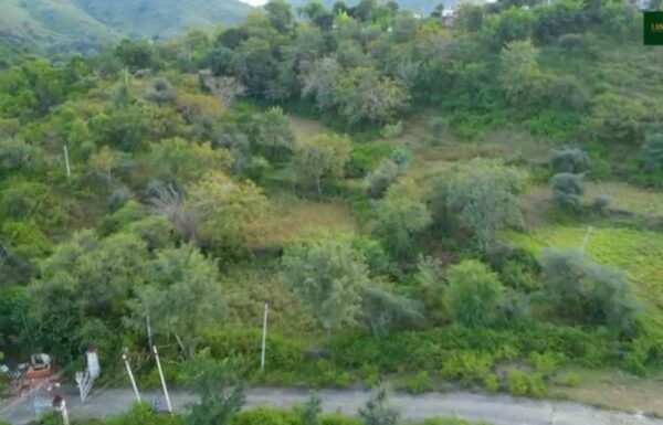 WhatsApp Image 2025-10-29 at 1.29.55 AM